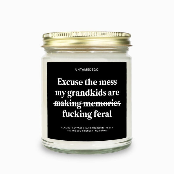 Excuse The Mess Funny Grandma Candle