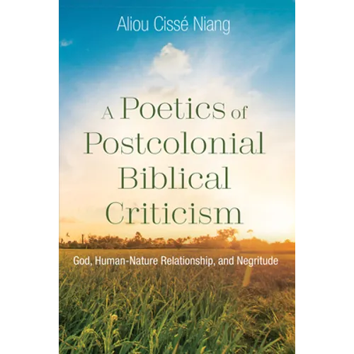 A Poetics of Postcolonial Biblical Criticism - Paperback
