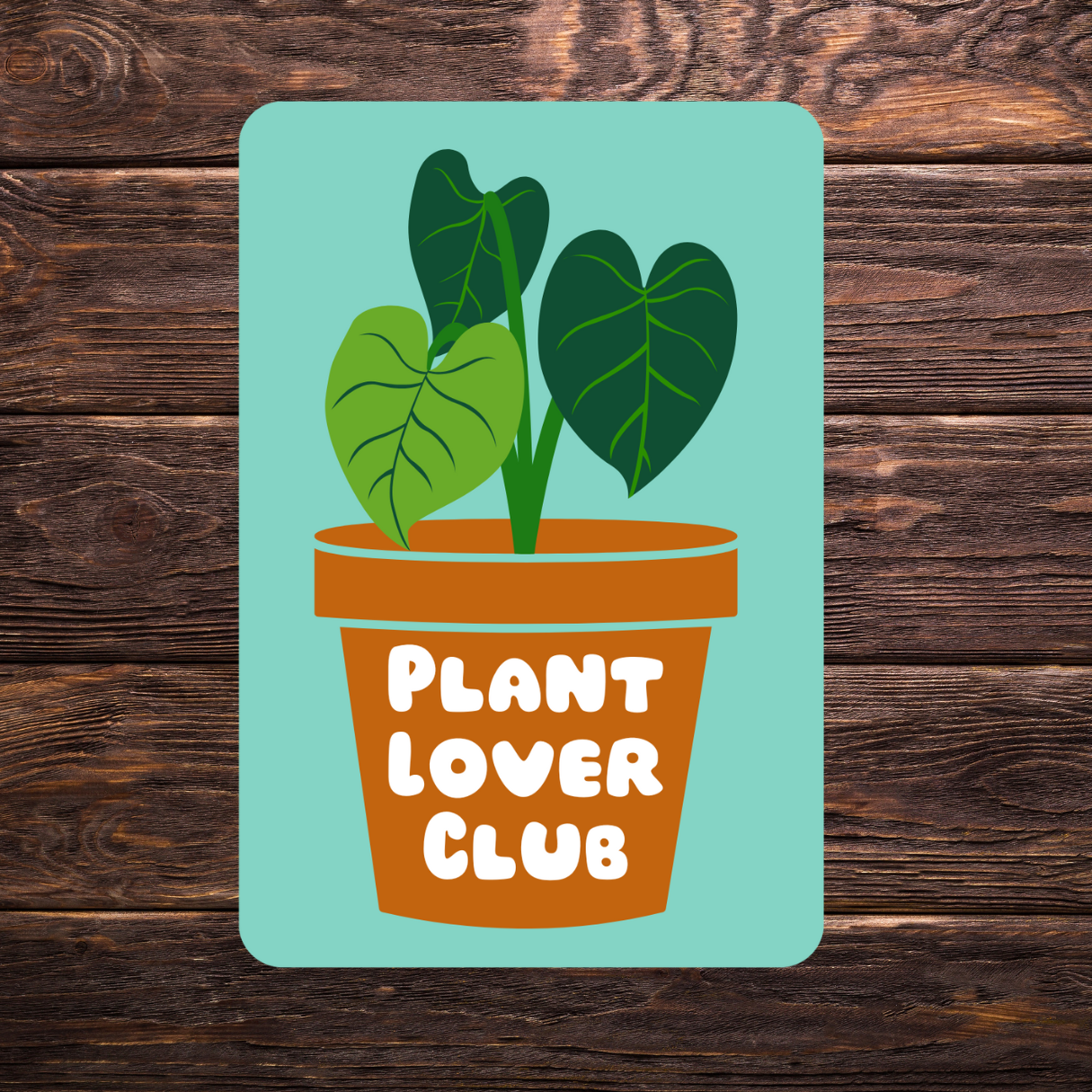 Plant Lovers Sticker Bundle | Set of 4 Vinyl Stickers | Houseplant Sticker Pack | Aesthetic Plant Stickers