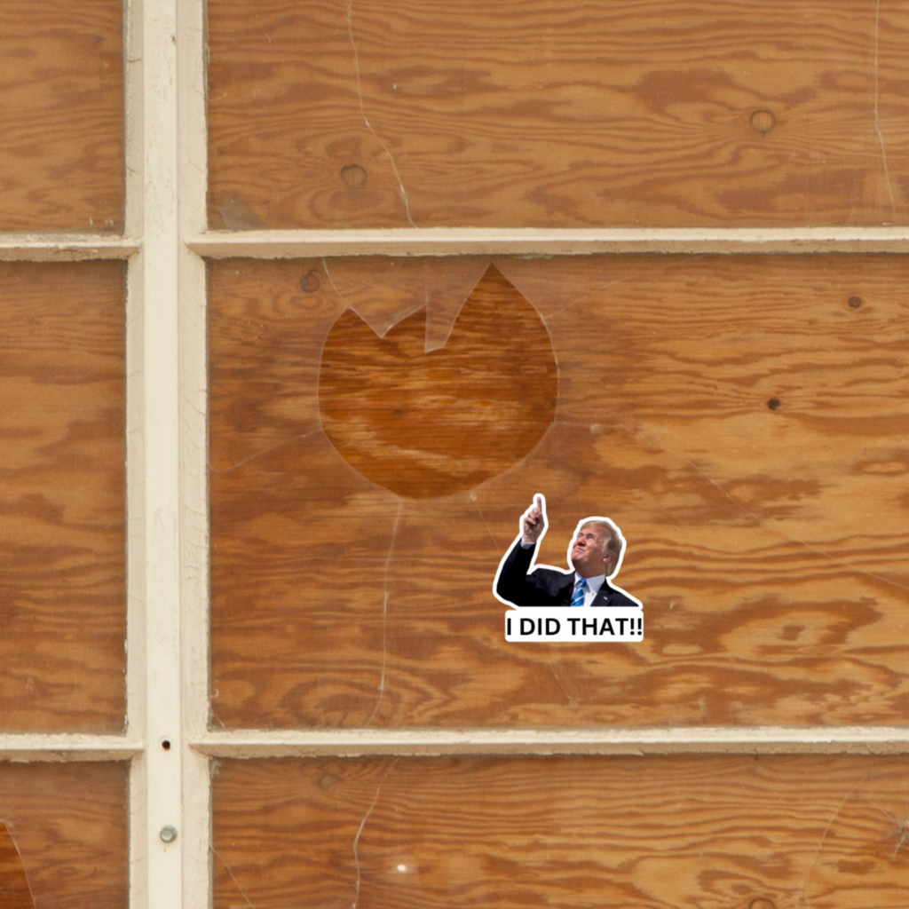 I Did That Trump Sticker | Pointing Sticker | Vinyl Sticker | Water Resistant | Anti Trump | Meme Sticker | Fdt