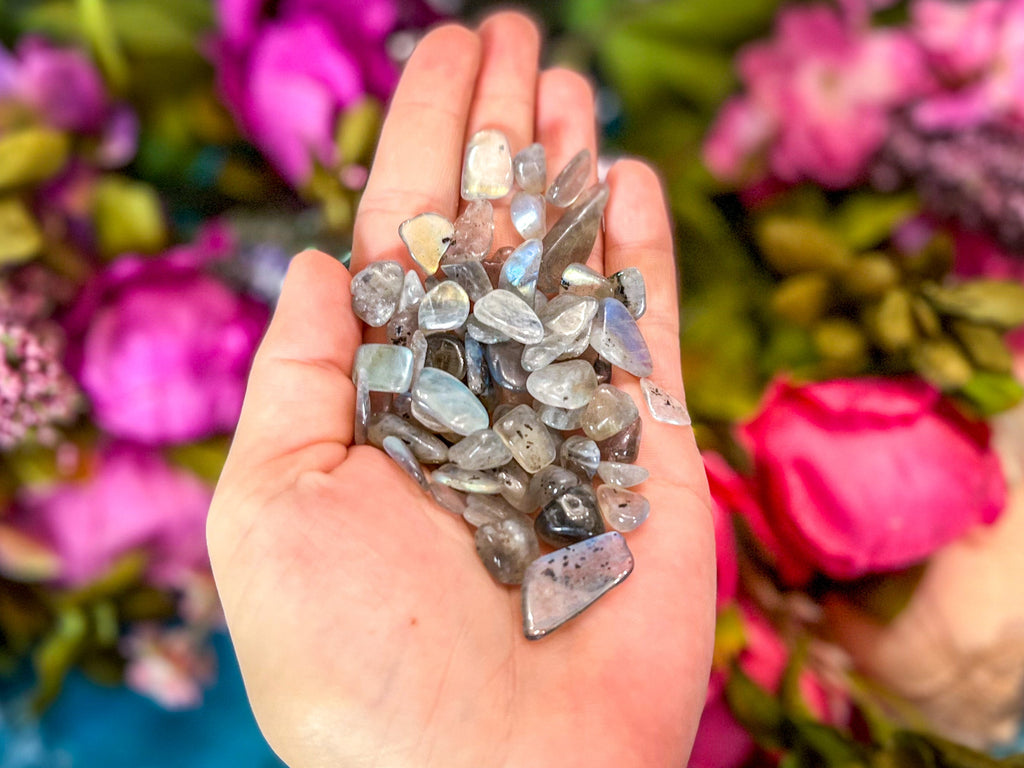 4 oz LABRADORITE crystal chips