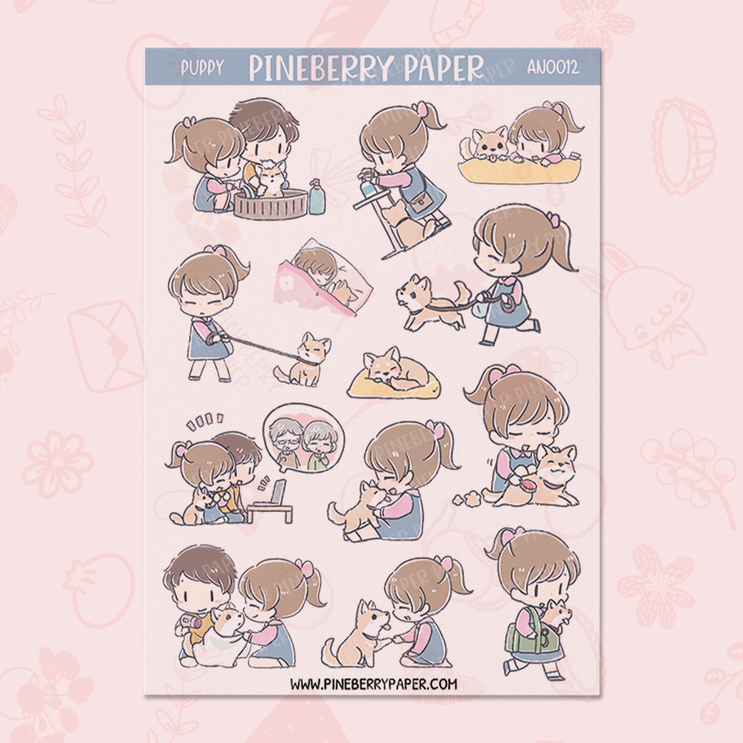 Puppy | AN0012