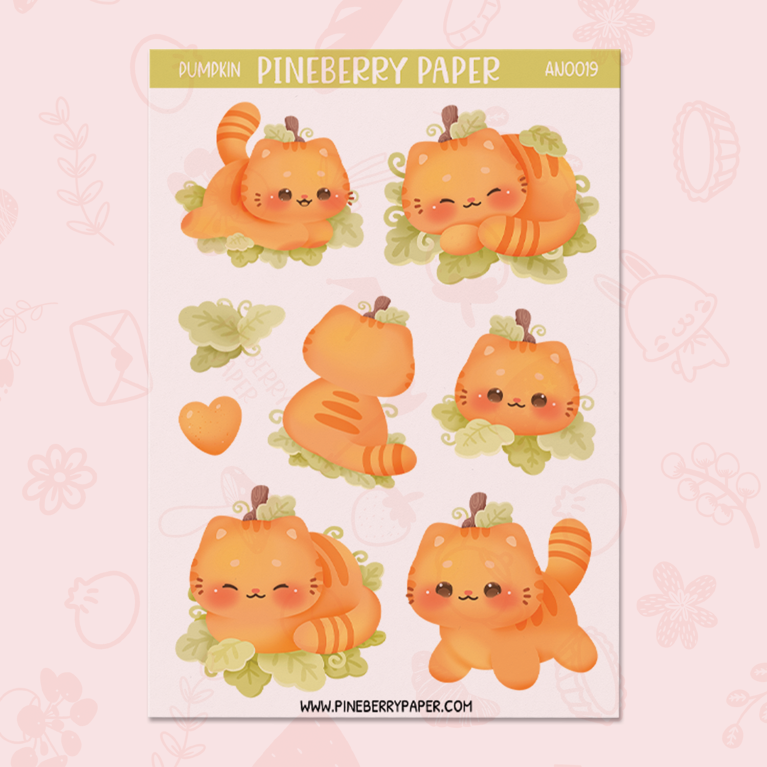 Pumpkin Cat | AN0019