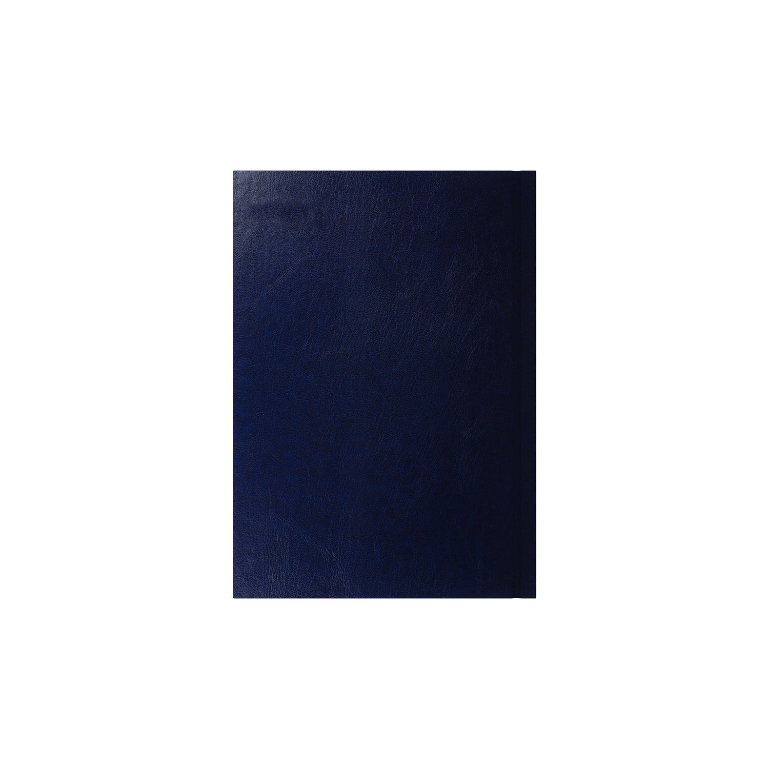 Essential - A5 Day-to-Page Diary with Appointments - 2026 Calendar Year Planner