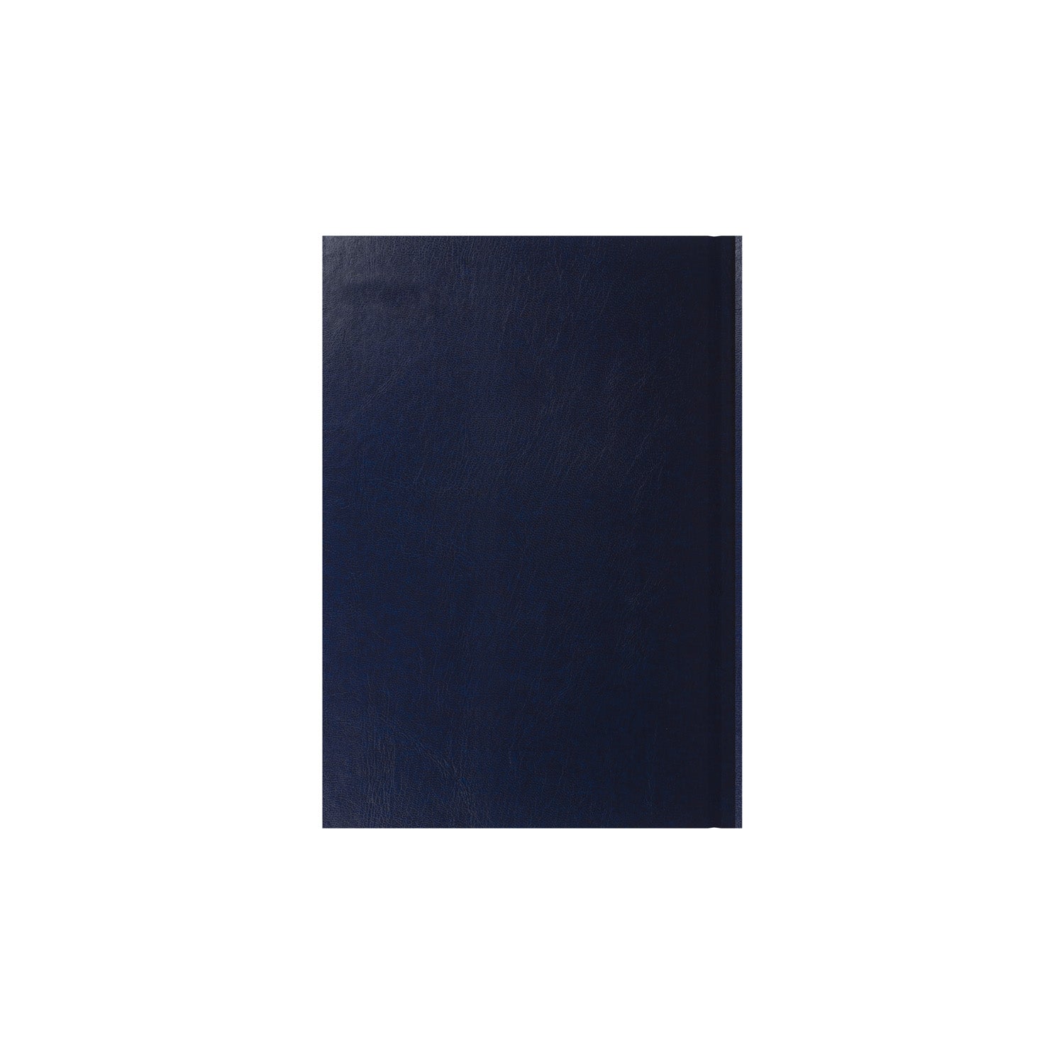 Essentials - A5 Day-to-Page with Appointments Mid/Academic Year Diary Planner, July 2025 - July 2026