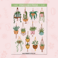 Hanging Plants | FL0187