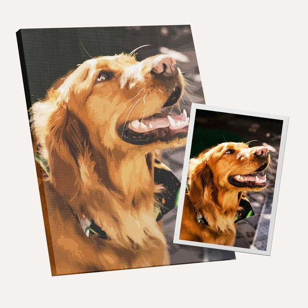 Custom Paint by Numbers Kit