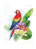 Diamond Art Stretched Canvas Parrot