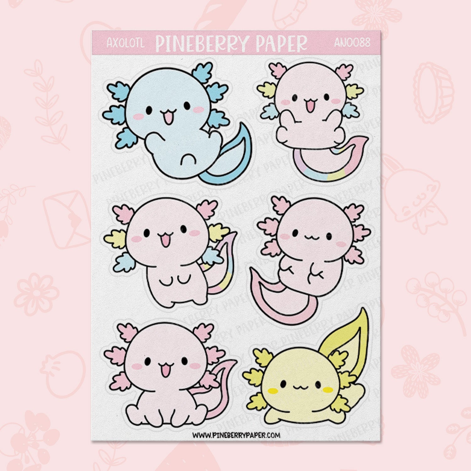 Axolotl | AN0088