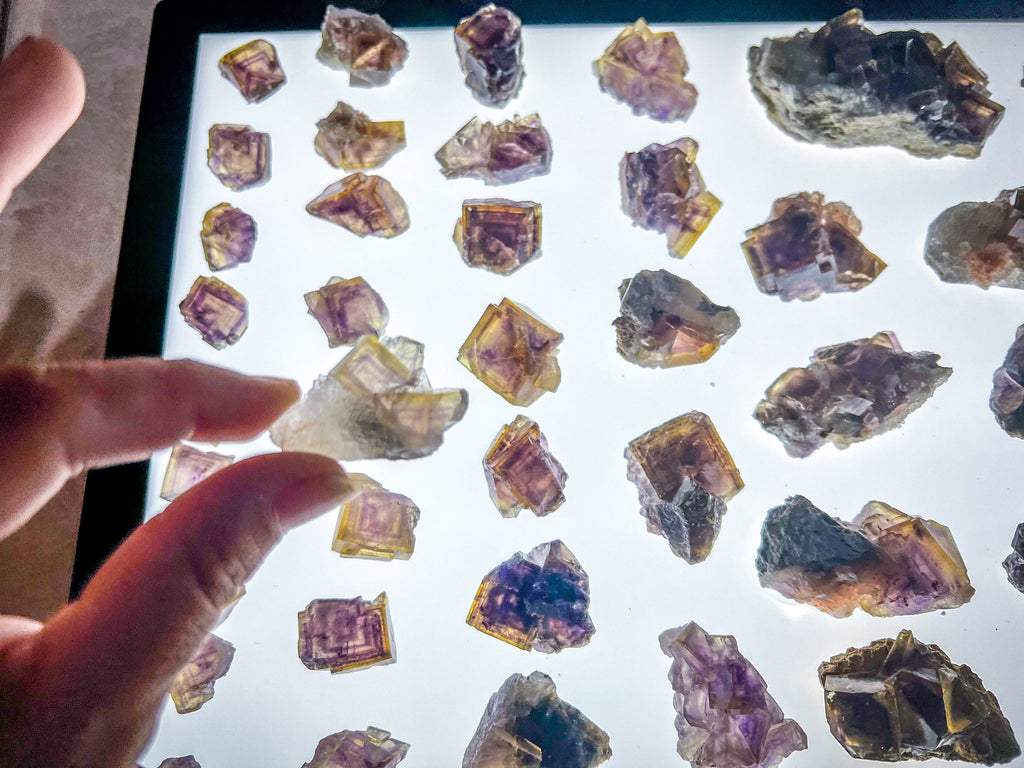 ANHUI Yellow Fluorite with Thousand Layer Purple Phantoms, RARE Minerals