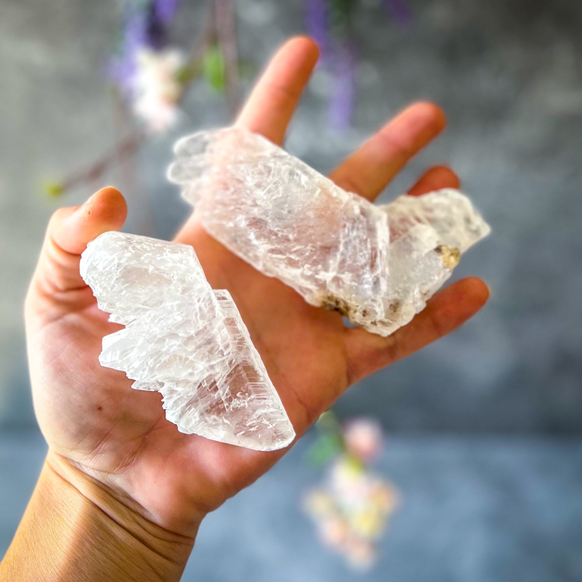 Fishtail Selenite Raw Specimens, Ethically Sourced Water Selenite