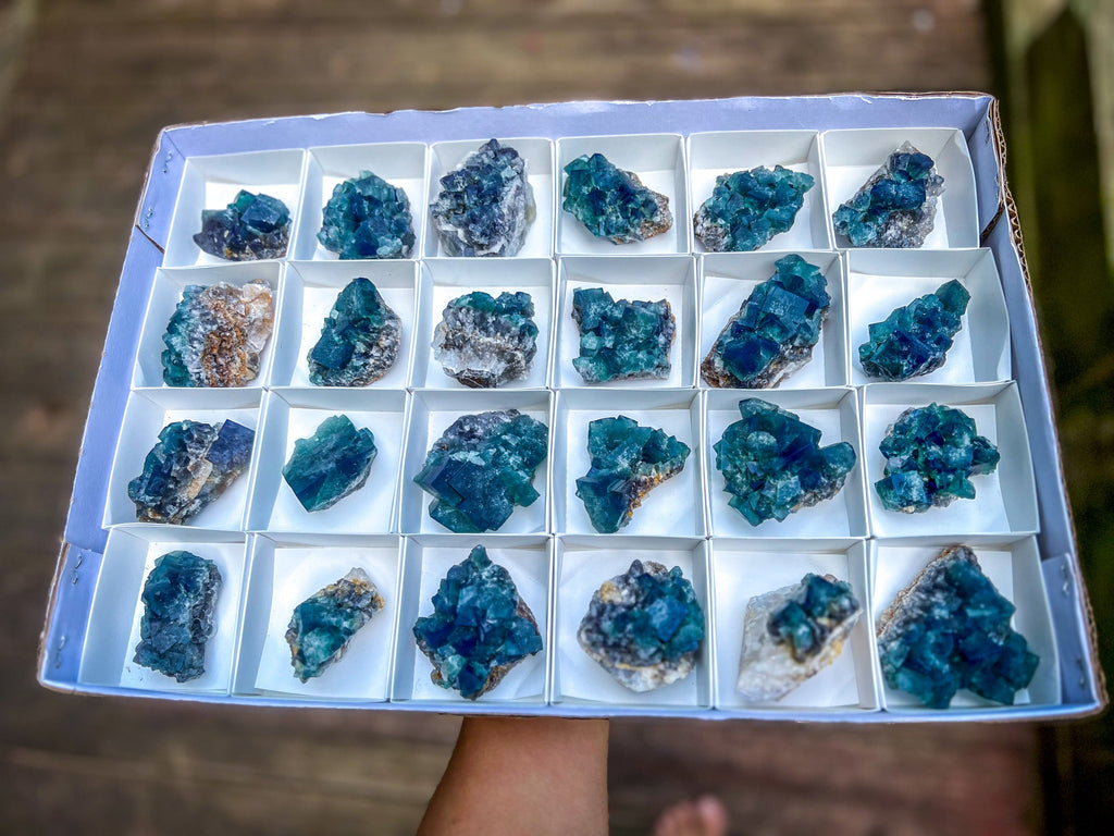 Hidden Forest Pocket Fluorite Clusters, Diana Maria Mine, Daylight Fluorescent Fluorite
