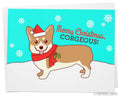 Funny Christmas Card "Merry Christmas, Corgeous"