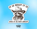 It Is What It Is And It Is Not Great Vinyl Sticker