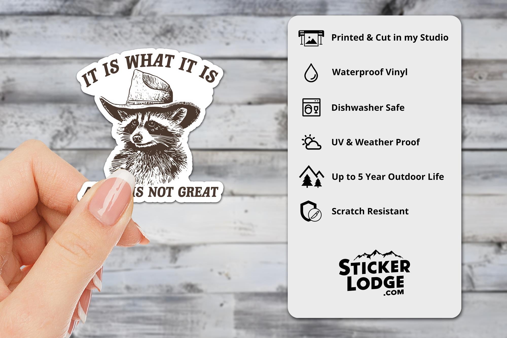 It Is What It Is And It Is Not Great Vinyl Sticker