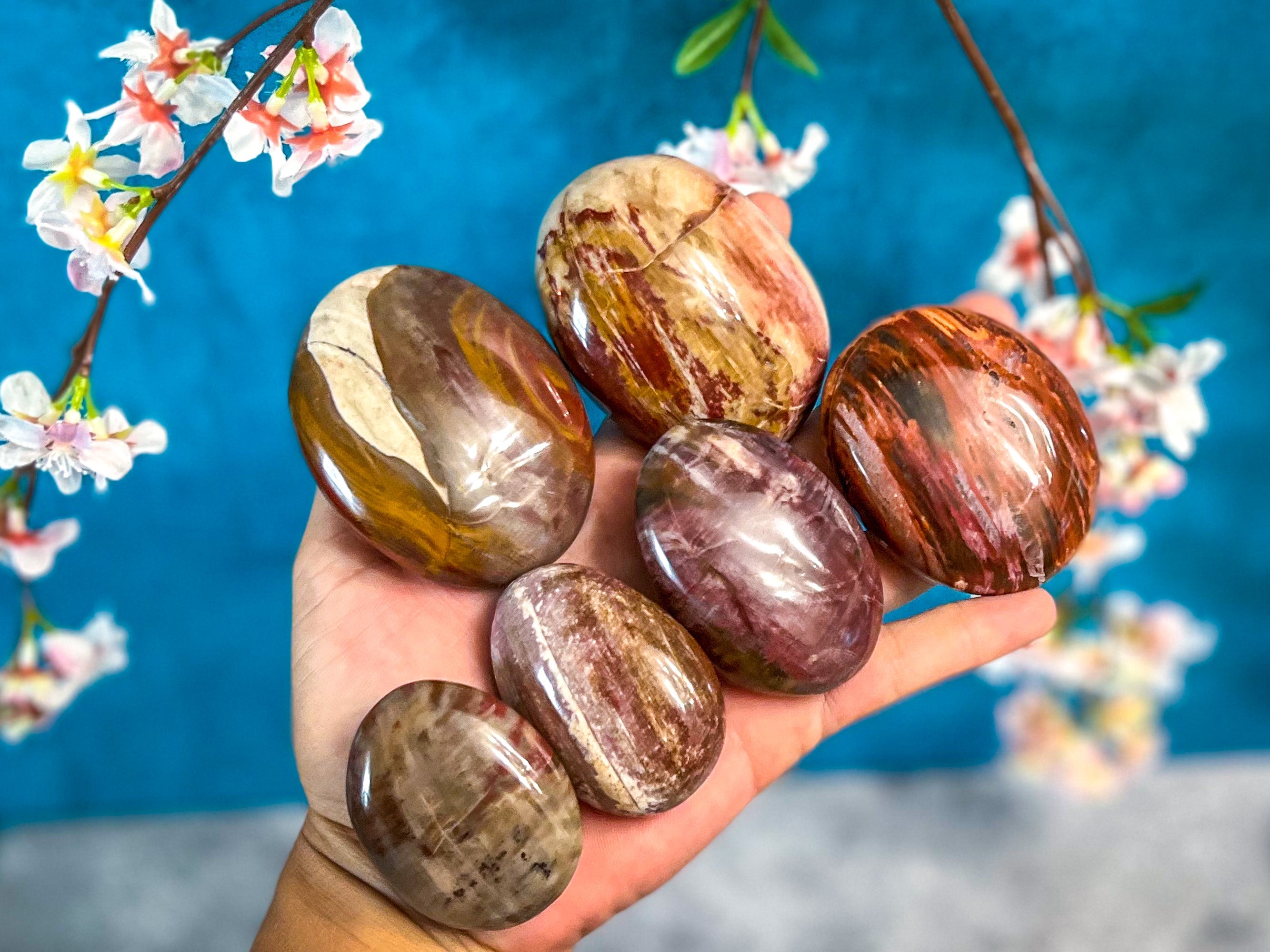 Petrified Wood Palm Stone
